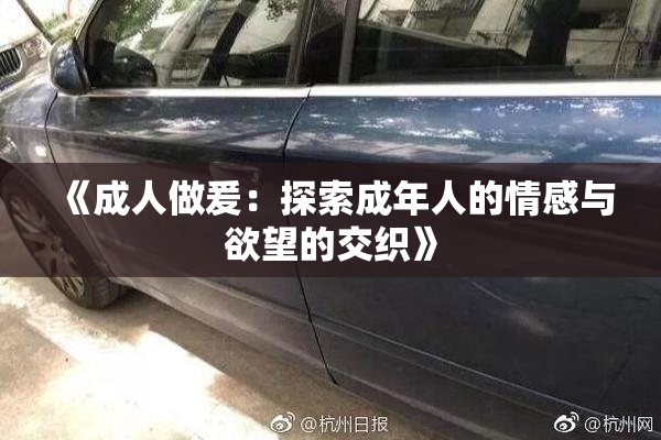 《成人做爰：探索成年人的情感与欲望的交织》