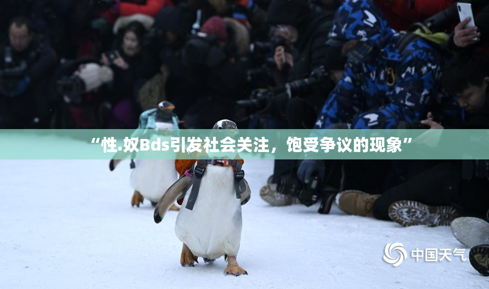 “性.奴Bds引发社会关注，饱受争议的现象”