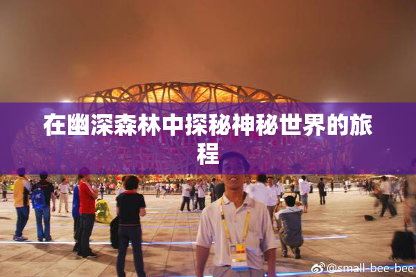 在幽深森林中探秘神秘世界的旅程