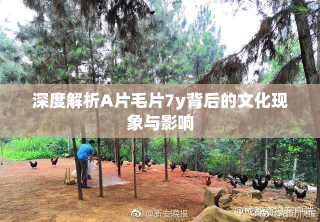 深度解析A片毛片7y背后的文化现象与影响