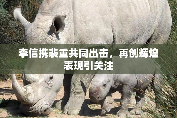 李信携裴重共同出击，再创辉煌表现引关注
