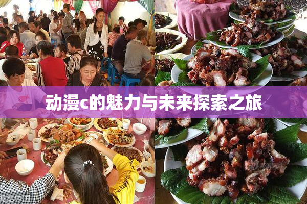 动漫c的魅力与未来探索之旅