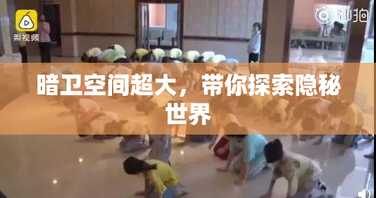 暗卫空间超大，带你探索隐秘世界