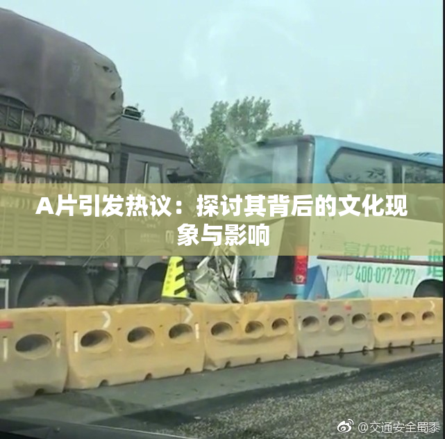 A片引发热议：探讨其背后的文化现象与影响