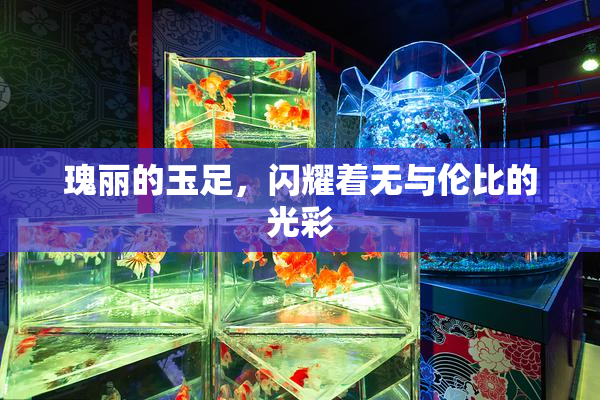 瑰丽的玉足，闪耀着无与伦比的光彩