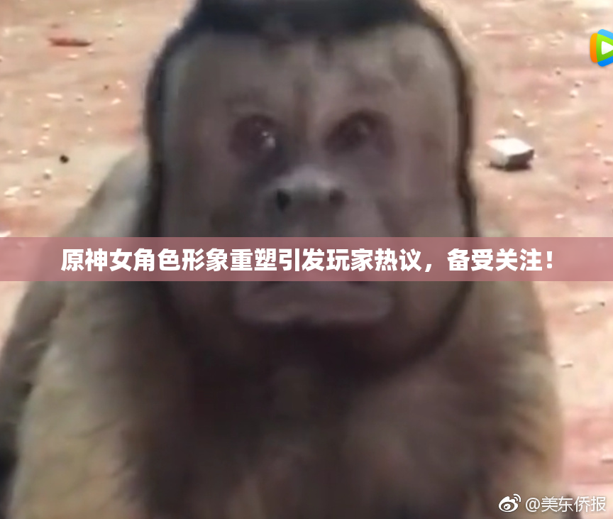 原神女角色形象重塑引发玩家热议，备受关注！