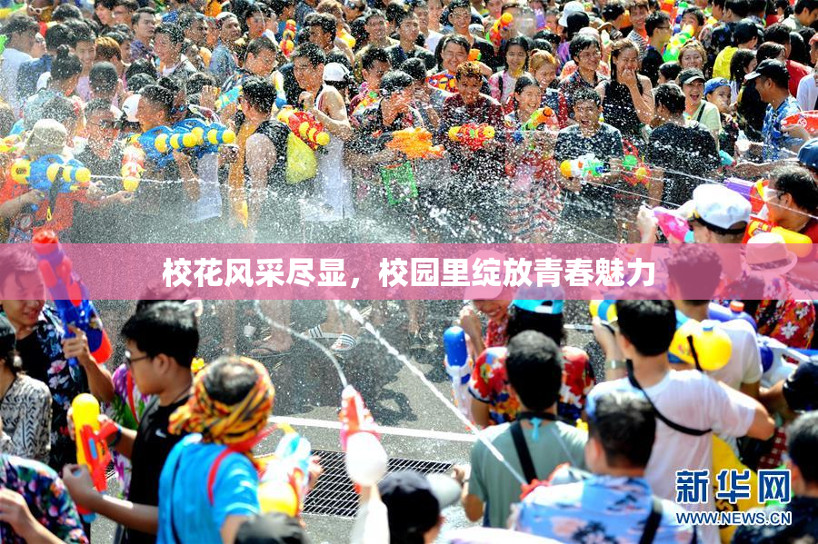 校花风采尽显，校园里绽放青春魅力