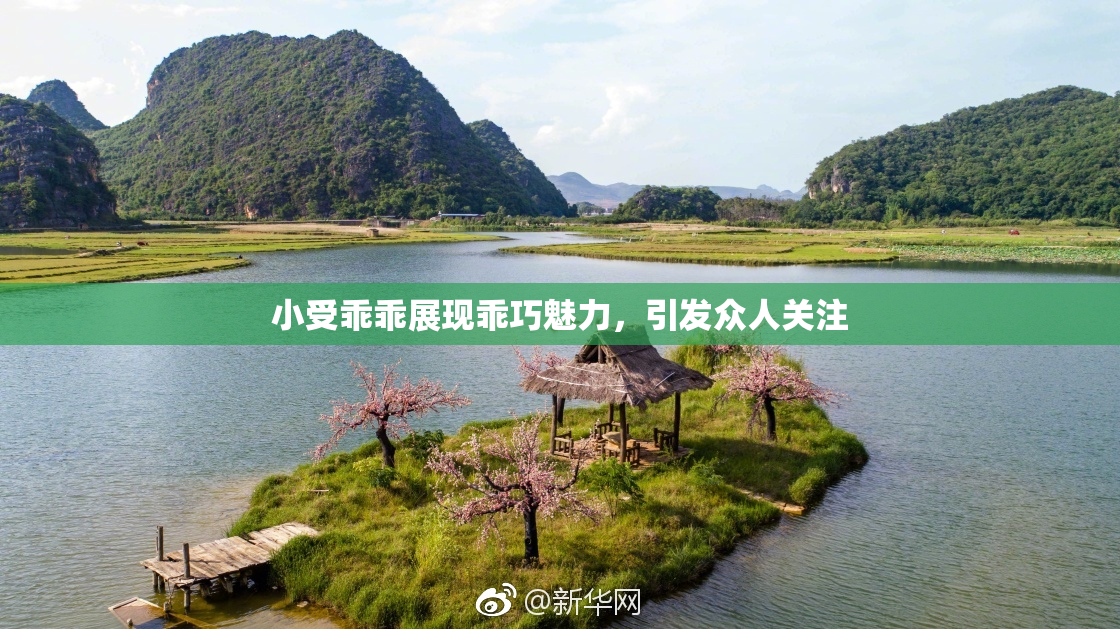 小受乖乖展现乖巧魅力，引发众人关注
