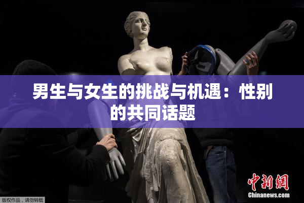 男生与女生的挑战与机遇：性别的共同话题