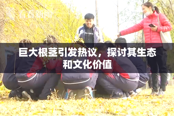 巨大根茎引发热议，探讨其生态和文化价值