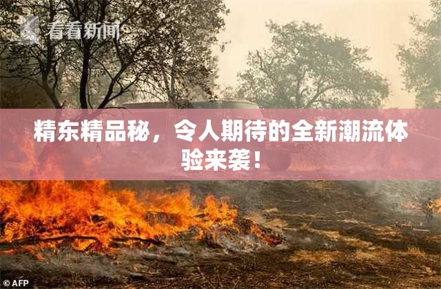 精东精品秘，令人期待的全新潮流体验来袭！