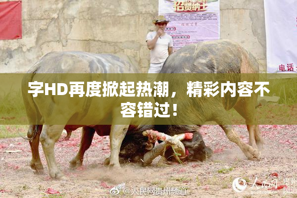 字HD再度掀起热潮，精彩内容不容错过！