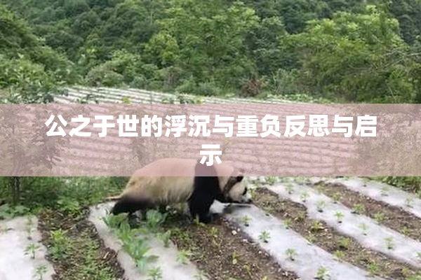 公之于世的浮沉与重负反思与启示