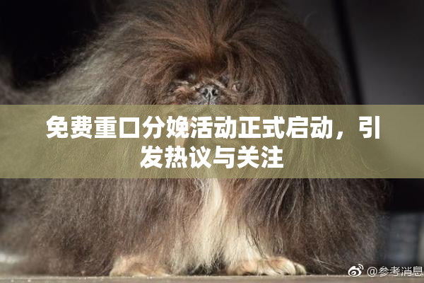 免费重口分娩活动正式启动，引发热议与关注