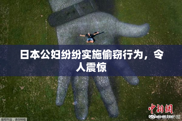 日本公妇纷纷实施偷窃行为，令人震惊