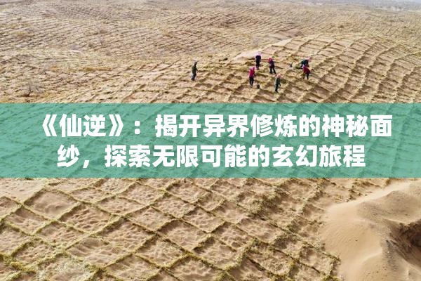 《仙逆》：揭开异界修炼的神秘面纱，探索无限可能的玄幻旅程