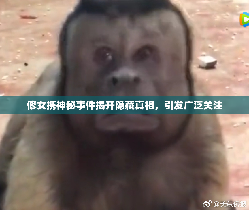 修女携神秘事件揭开隐藏真相，引发广泛关注