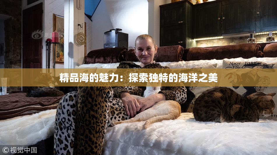 精品海的魅力：探索独特的海洋之美