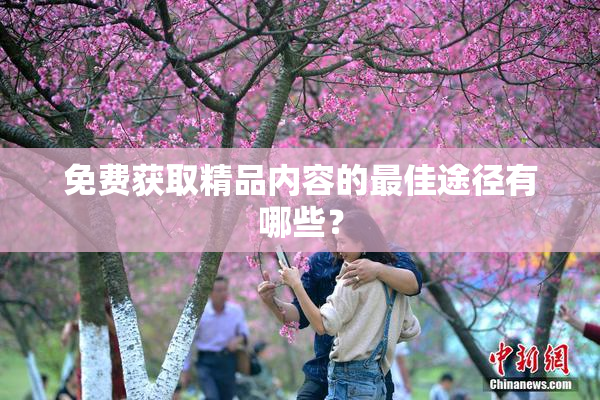 免费获取精品内容的最佳途径有哪些？