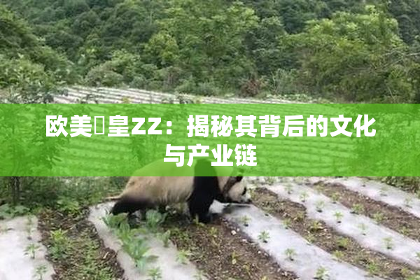 欧美嘼皇ZZ：揭秘其背后的文化与产业链