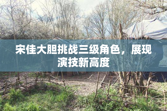 宋佳大胆挑战三级角色，展现演技新高度