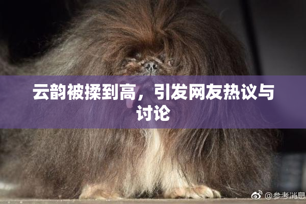 云韵被揉到高，引发网友热议与讨论