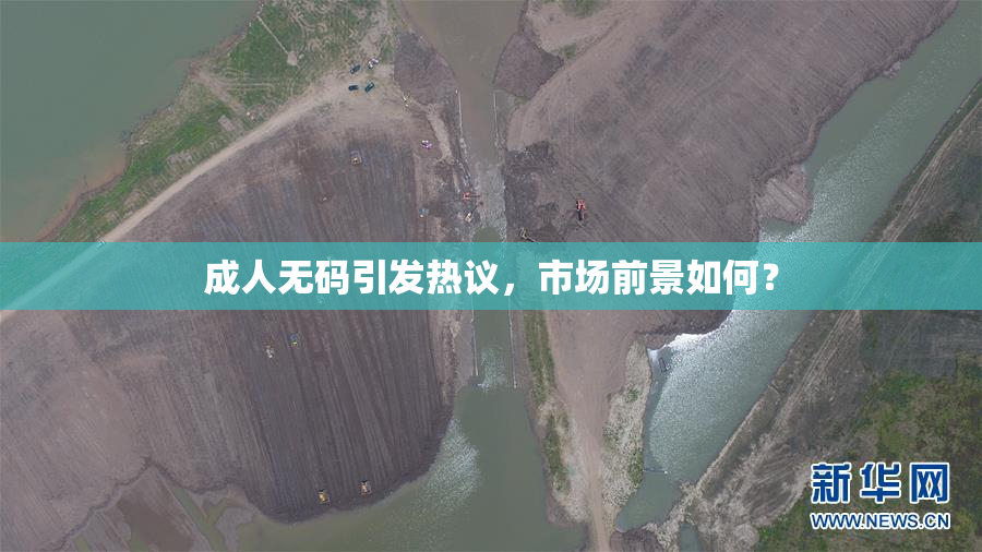 成人无码引发热议，市场前景如何？