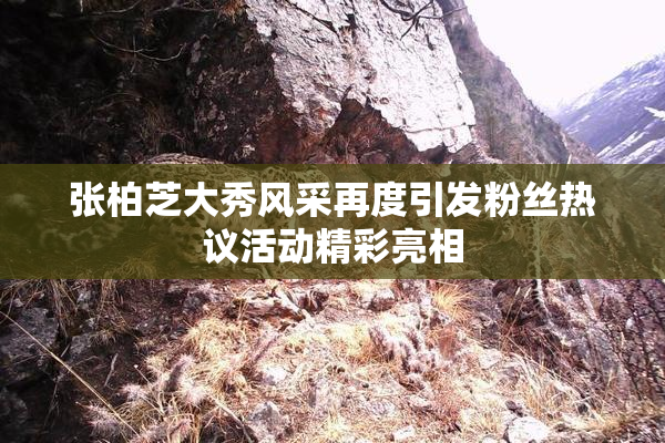 张柏芝大秀风采再度引发粉丝热议活动精彩亮相