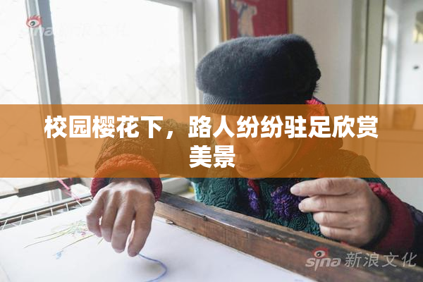 校园樱花下，路人纷纷驻足欣赏美景