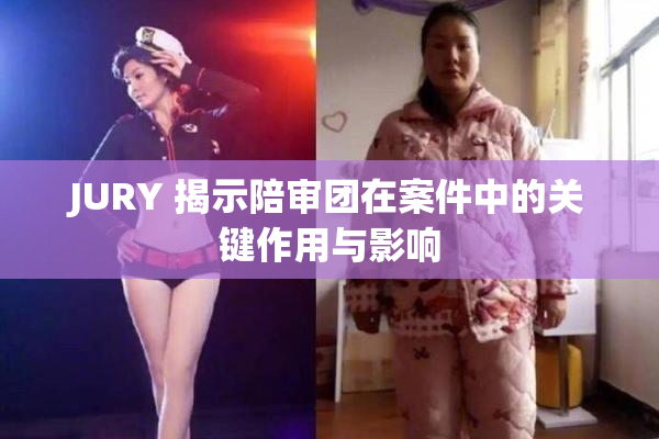 JURY 揭示陪审团在案件中的关键作用与影响