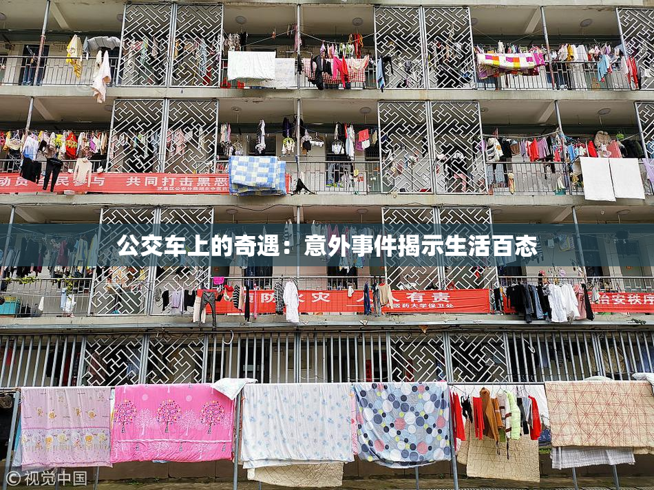 公交车上的奇遇：意外事件揭示生活百态