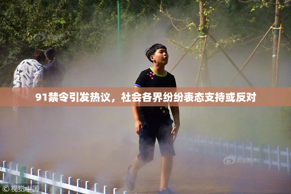 91禁令引发热议，社会各界纷纷表态支持或反对