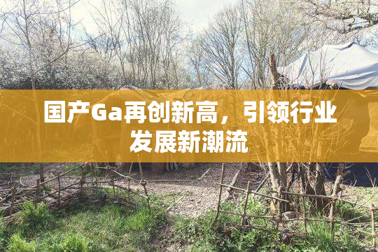 国产Ga再创新高，引领行业发展新潮流