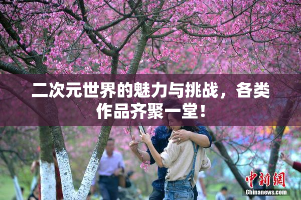 二次元世界的魅力与挑战，各类作品齐聚一堂！
