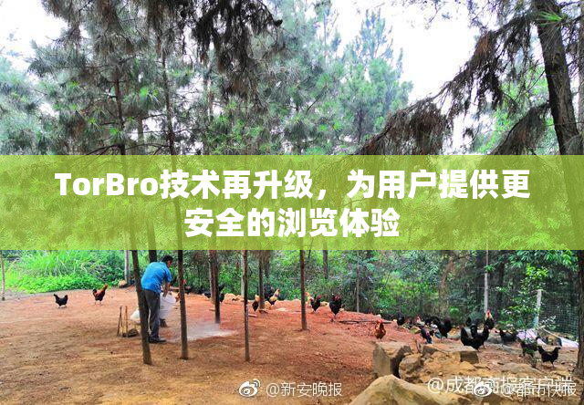 TorBro技术再升级，为用户提供更安全的浏览体验