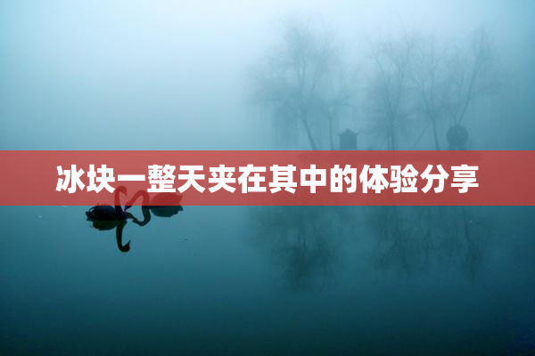 冰块一整天夹在其中的体验分享