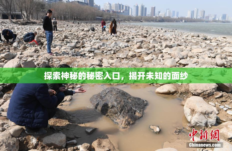 探索神秘的秘密入口，揭开未知的面纱