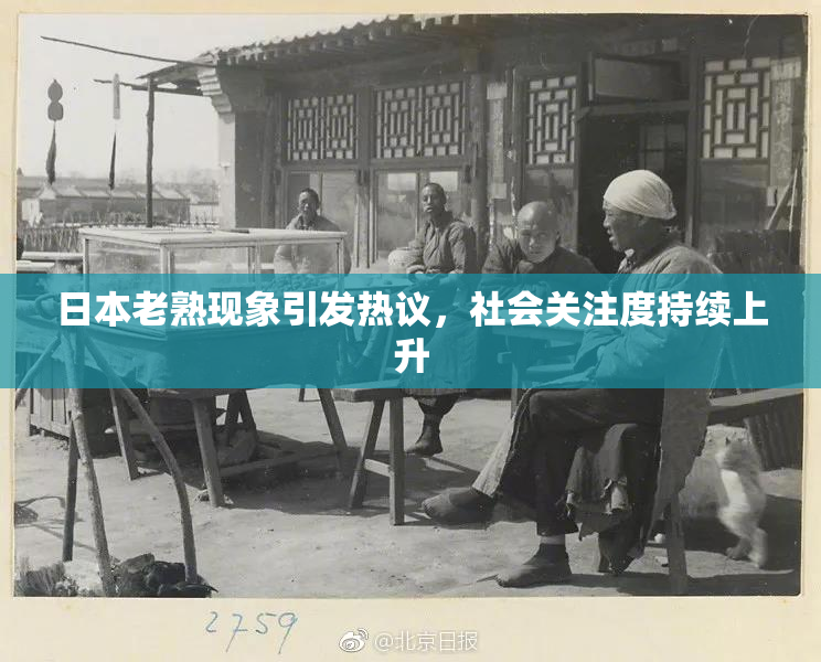 日本老熟现象引发热议，社会关注度持续上升