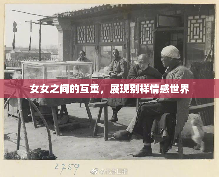 女女之间的互重，展现别样情感世界
