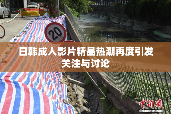 日韩成人影片精品热潮再度引发关注与讨论