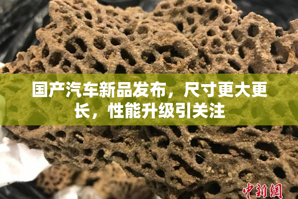 国产汽车新品发布，尺寸更大更长，性能升级引关注