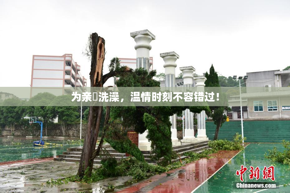 为亲妺洗澡，温情时刻不容错过！