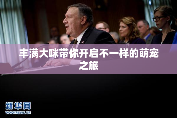 丰满大咪带你开启不一样的萌宠之旅