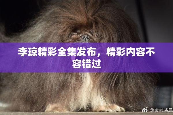 李琼精彩全集发布，精彩内容不容错过