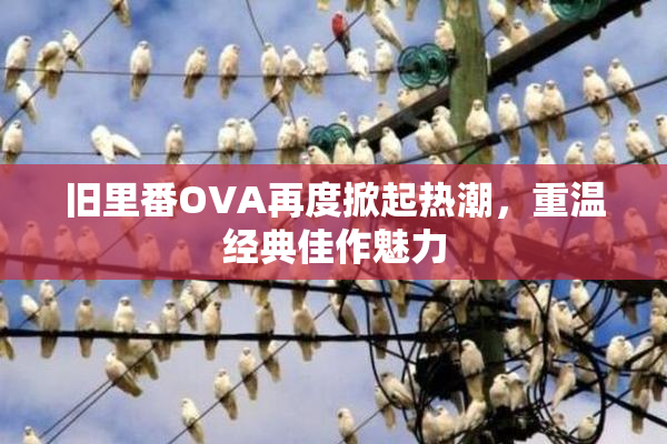 旧里番OVA再度掀起热潮，重温经典佳作魅力