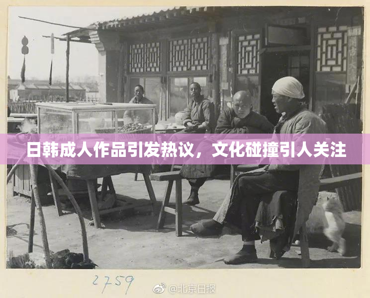 日韩成人作品引发热议，文化碰撞引人关注