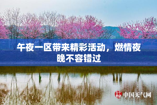 午夜一区带来精彩活动，燃情夜晚不容错过
