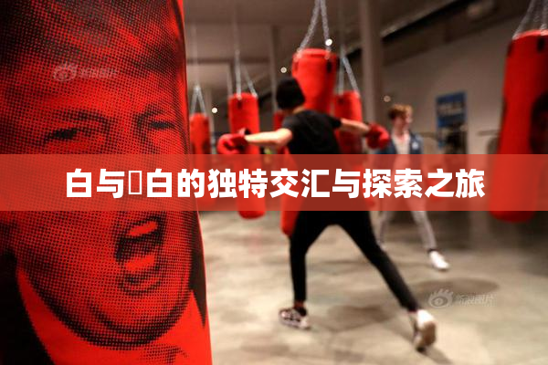 白与晄白的独特交汇与探索之旅