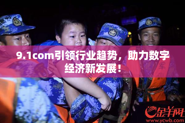 9.1com引领行业趋势，助力数字经济新发展！