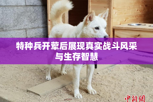 特种兵开荤后展现真实战斗风采与生存智慧